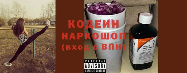 хмурый Вязьма