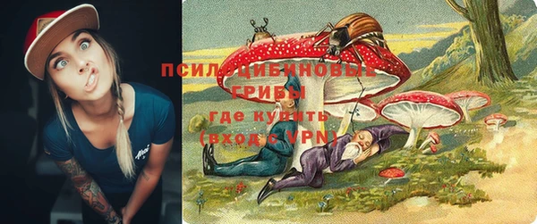хмурый Вязьма