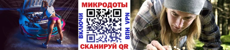 Купить Никольское Псилоцибиновые грибы MAGIC MUSHROOMS